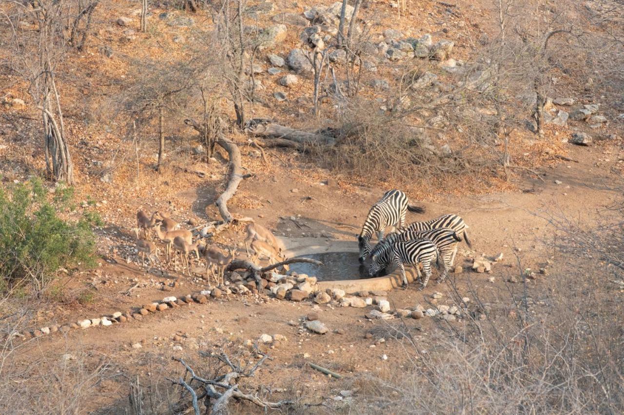 Parsons Hilltop Safari Camp Balule Game Reserve Exterior foto